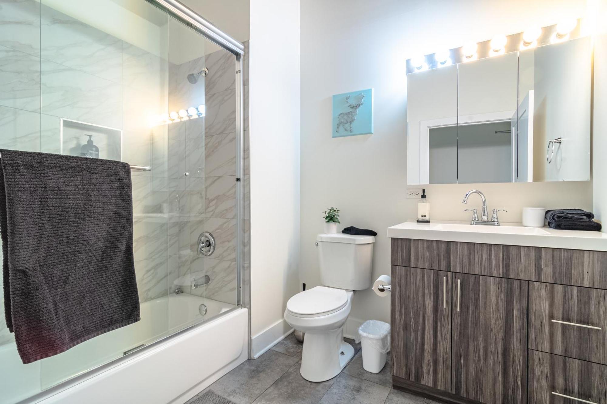 Modern 2Br Loft With Amazing City Skyline View And Optional Parking For 8 Guests Near Mccormick Place And Soldier Field Chicago Ngoại thất bức ảnh